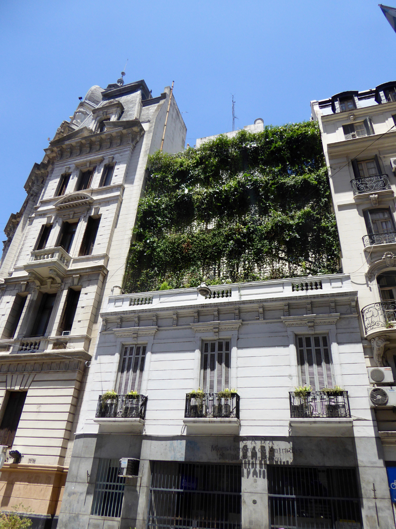 Hanging gardens in Buenos Aires soften and cool the walls.