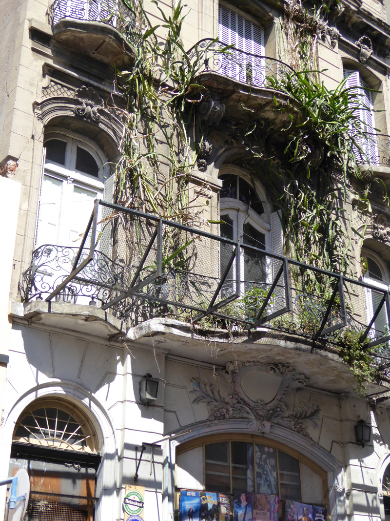 Plants make a take-over bid for the façade.